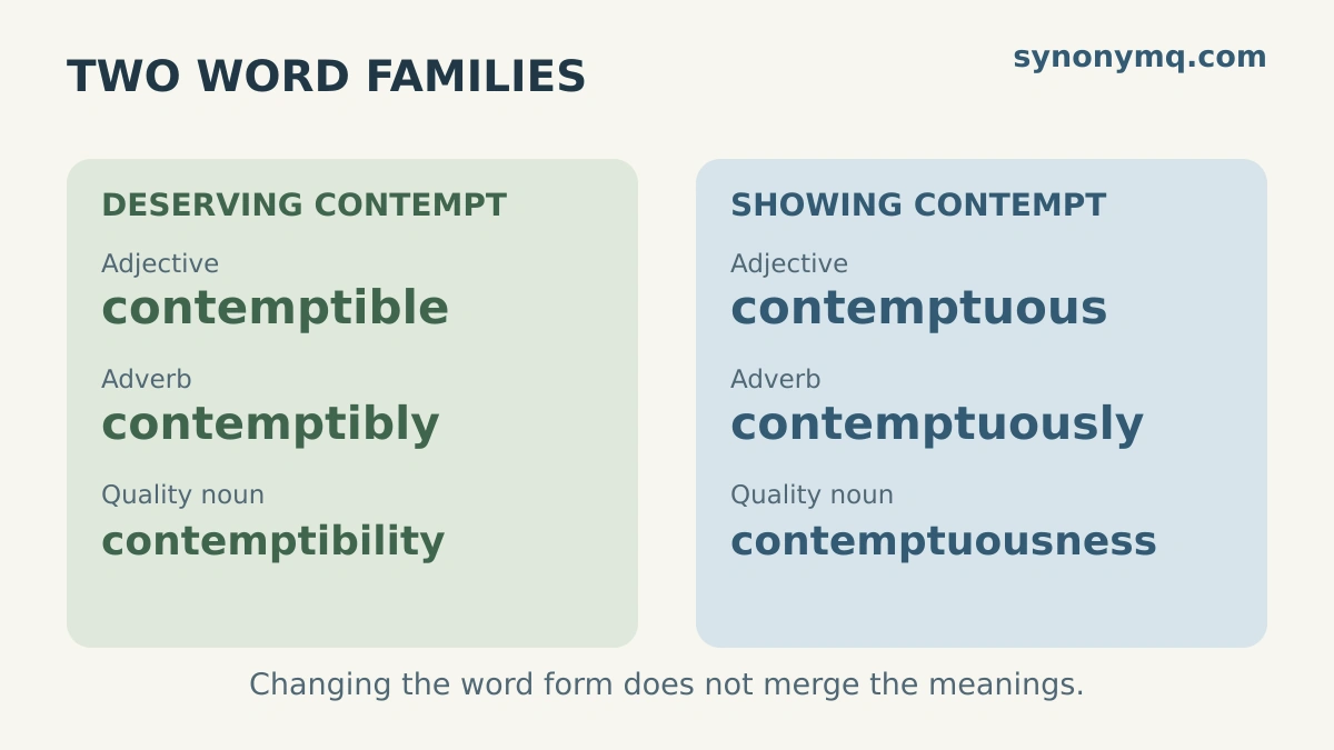 Two word families: contemptible, contemptibly and contemptibility; contemptuous, contemptuously and contemptuousness