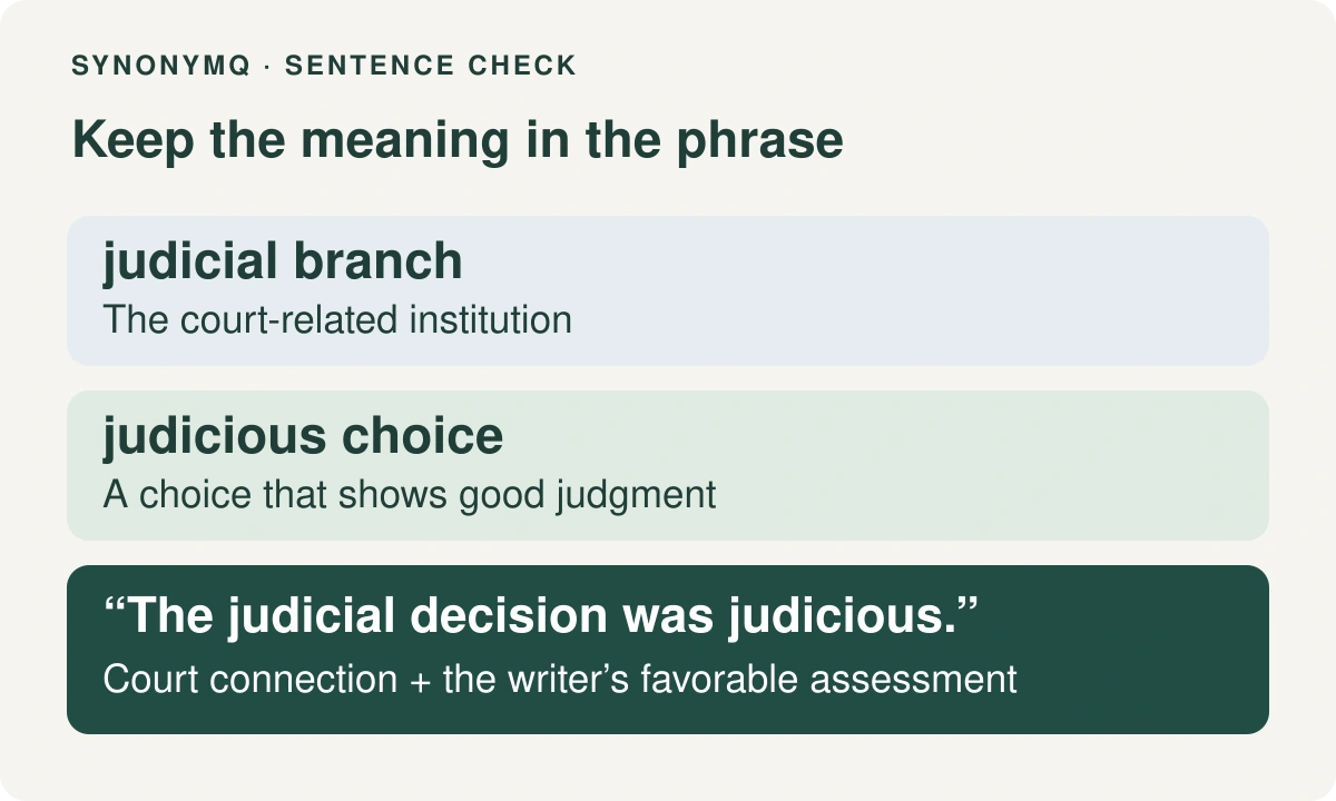 Phrase check showing judicial branch for court authority, judicious choice for a sensible decision, and a judicial decision that can also be judicious