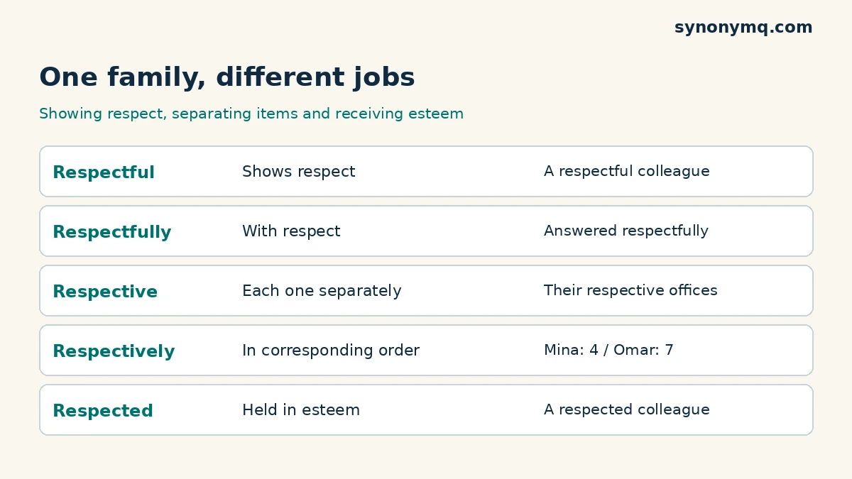 Word-form comparison: respectful shows respect, respective identifies separate items, and respected receives esteem